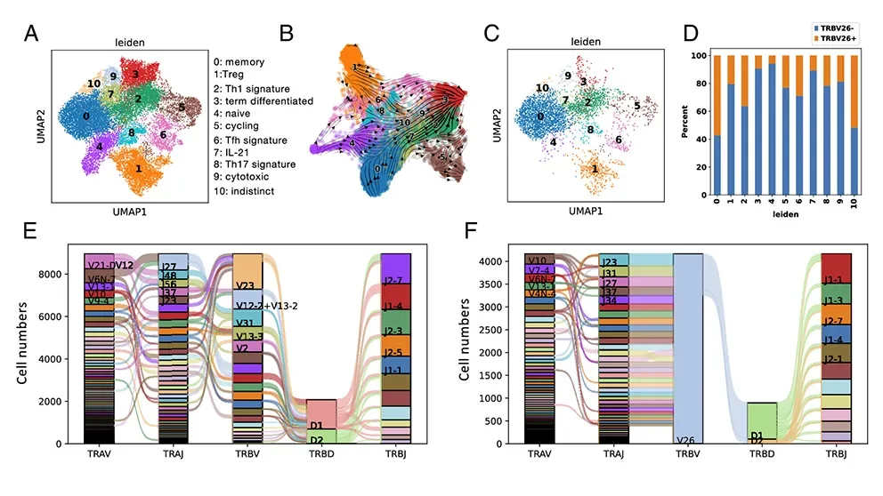 Type 1 diabetes and viral DNA