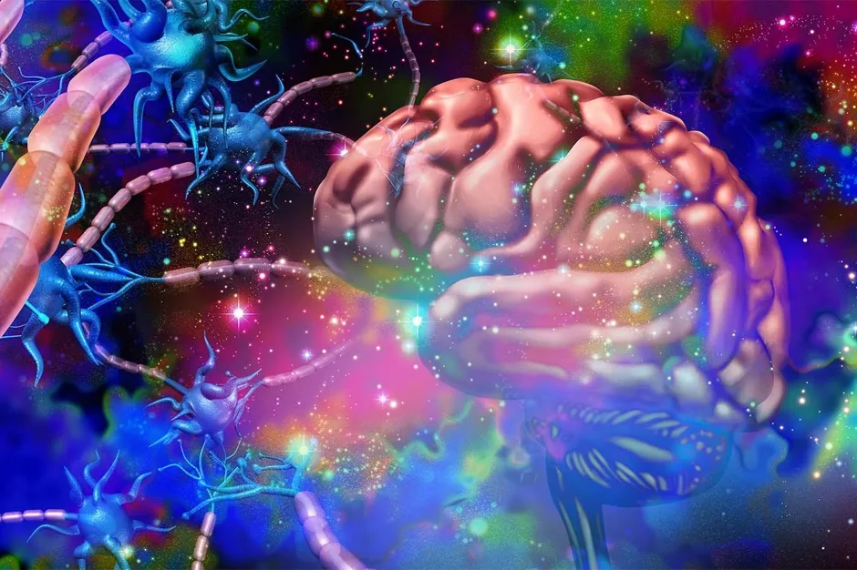 Tracking the neural circuitry underlying behavior