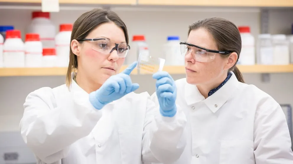 Gene knockdown sufficient to induce deficits reminiscent of aging and Alzheimers disease