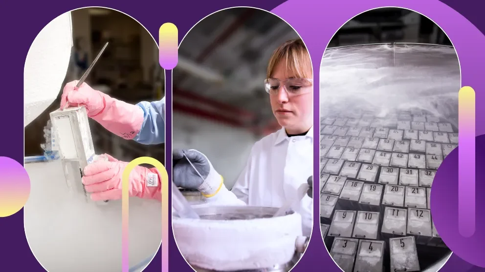 Efficient Mouse Colony Management: FAQs on JAX’s Cryopreservation, Cryorecovery, and Breeding Services