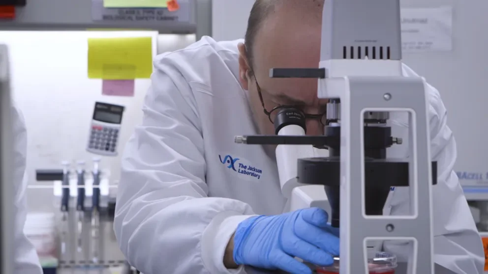 A needle in a haystack: Finding how a genetic variant increases the risk of autoimmune diseases