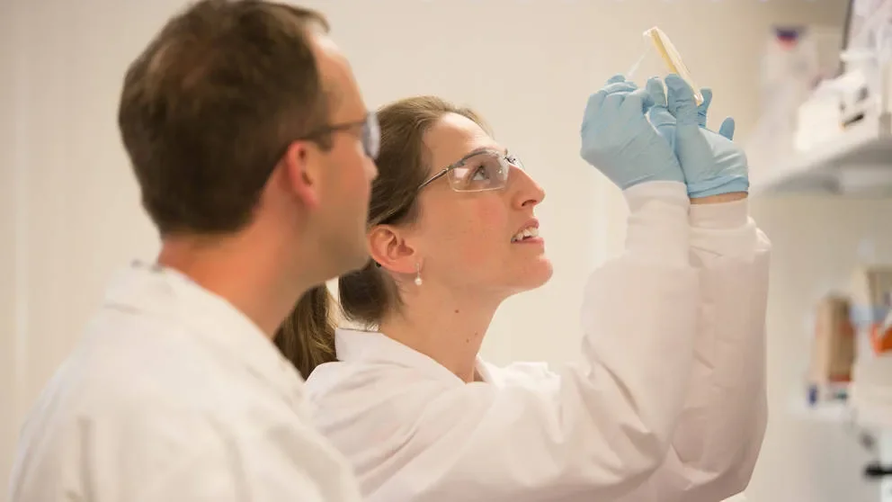 Teaching the Genome Generation