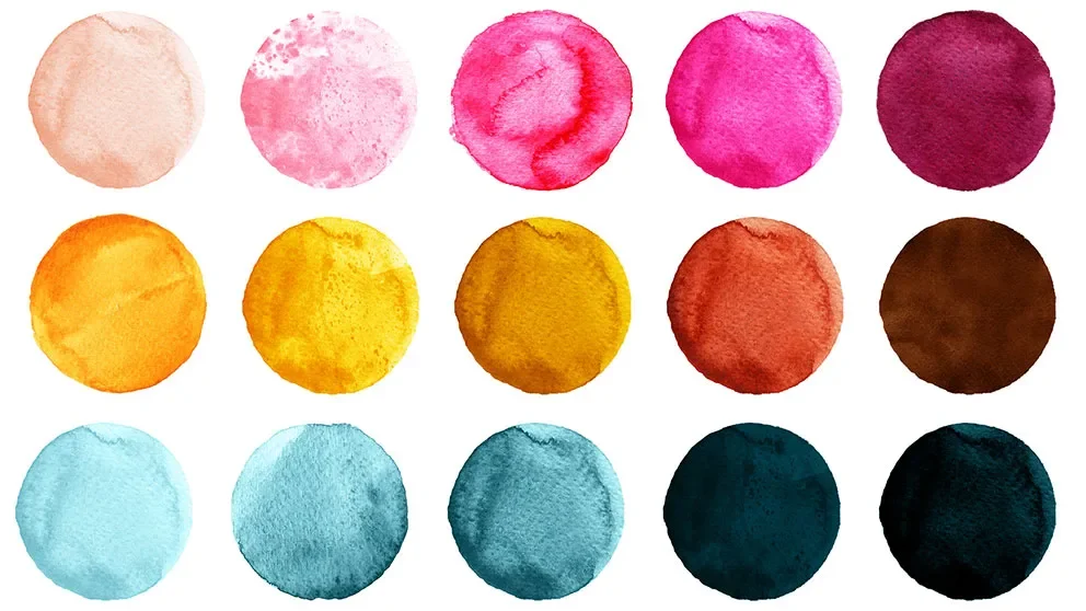 The stiffness of stem cells