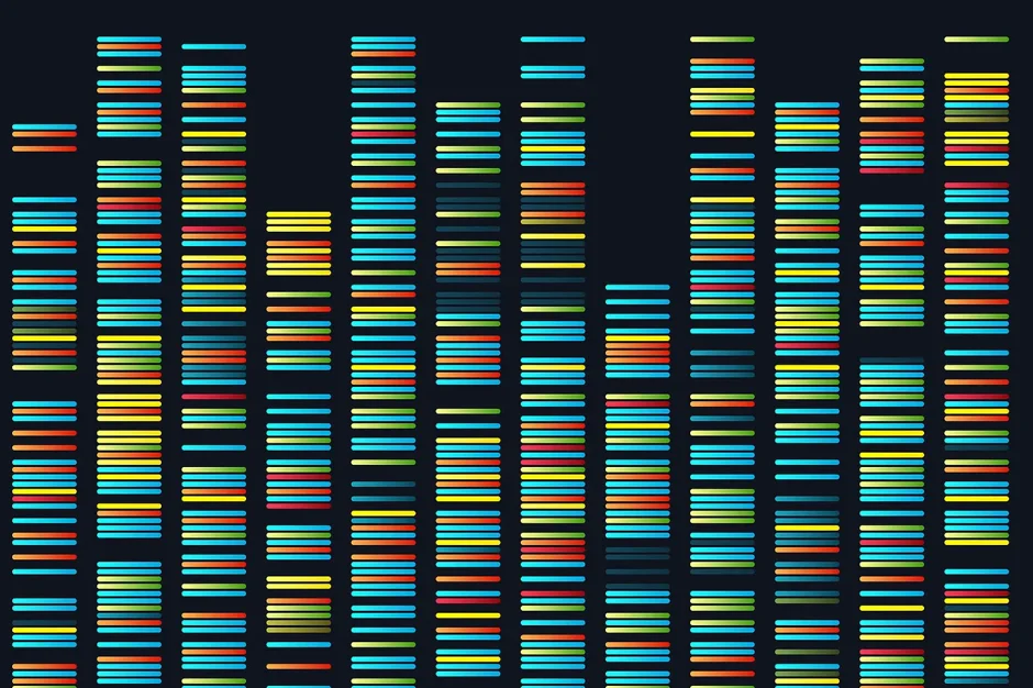 Assembling the 3D genome with ChIA-PIPE