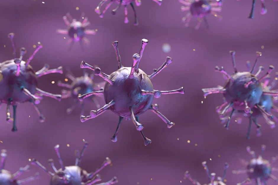 hACE2 transgenic mouse model for coronavirus (COVID-19) research