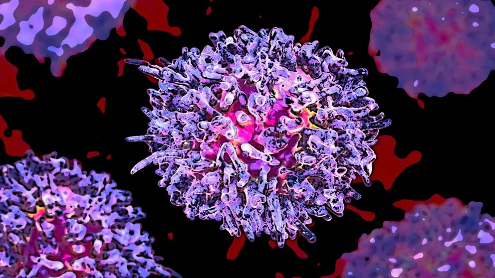 A better combination therapy for leukemias