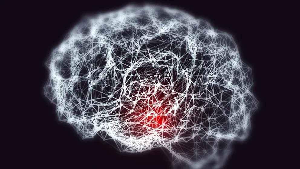 Zooming in on the brain: Developing new tools to study how our brains are wired