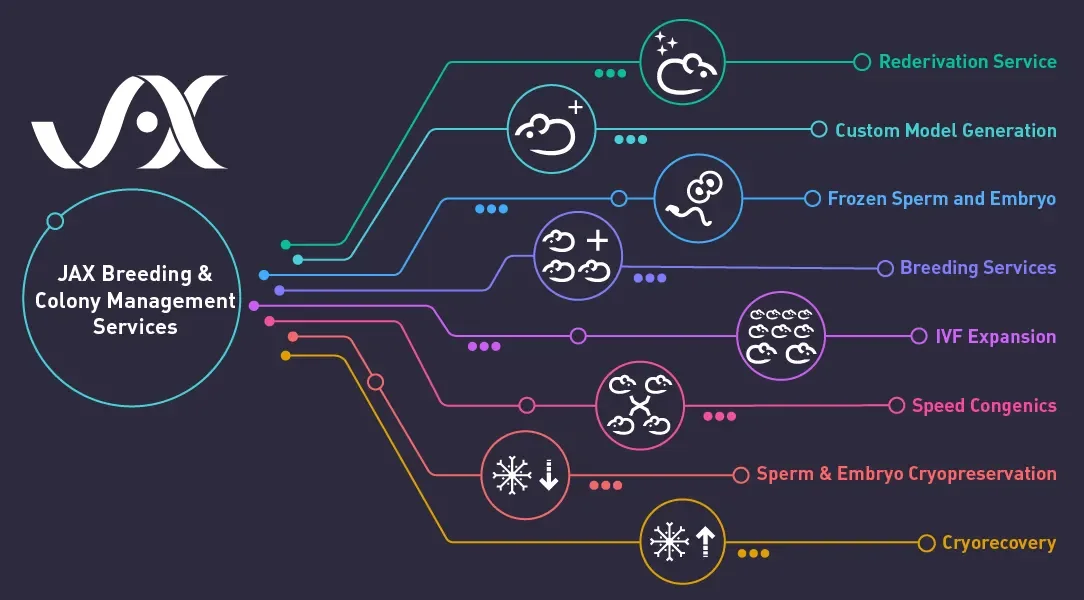 Mouse Breeding & Colony Management Services | Industry-Leading Care with JAX