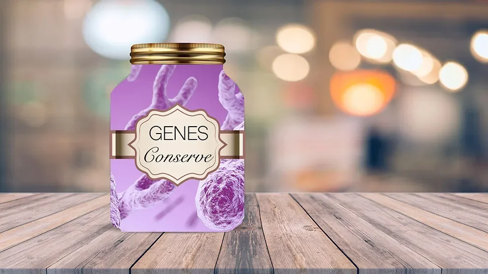 Conservation and genetics