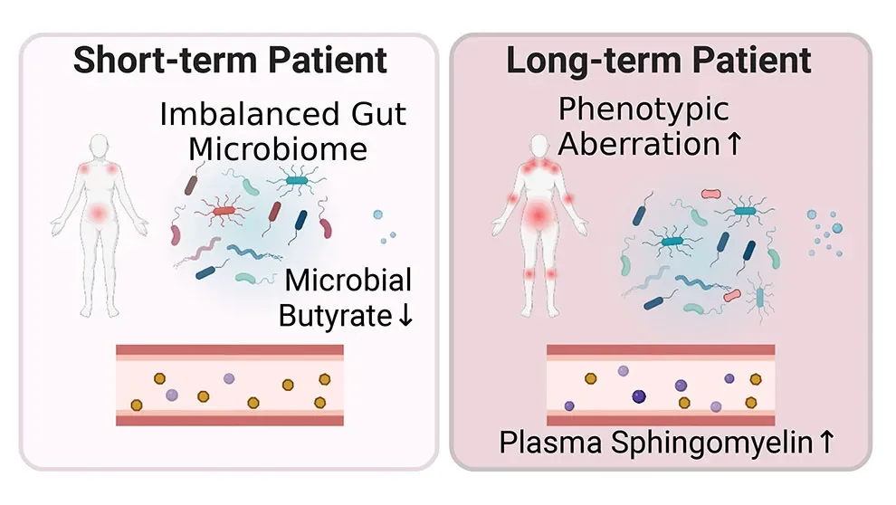 The functional mechanisms that may underlie ME/CFS
