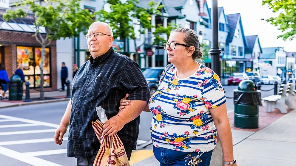 Wiring the brain: the possible key to effective obesity treatments