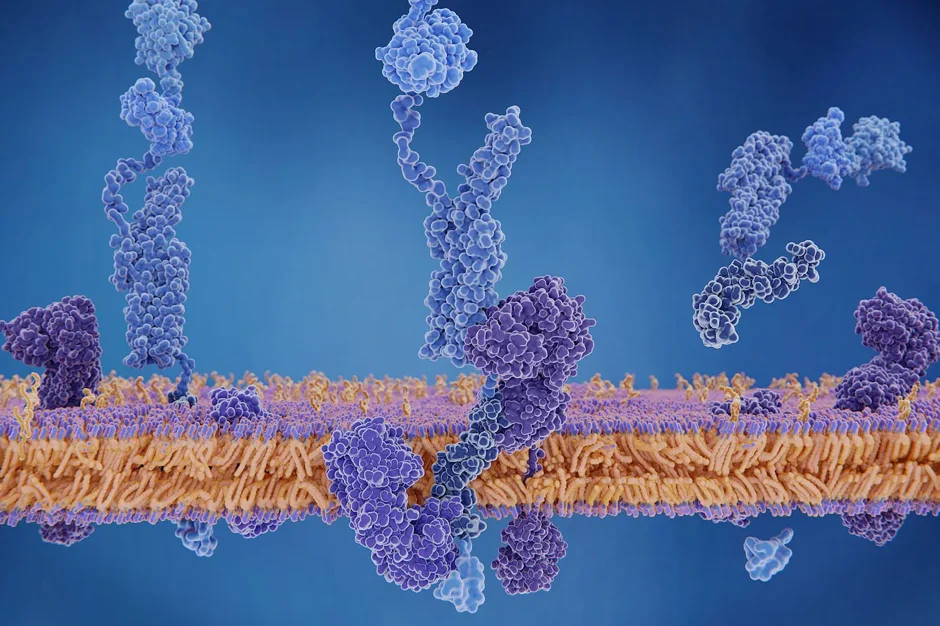 Moving beyond amyloid to treat Alzheimer's disease