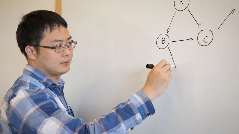 A RACIPE for success