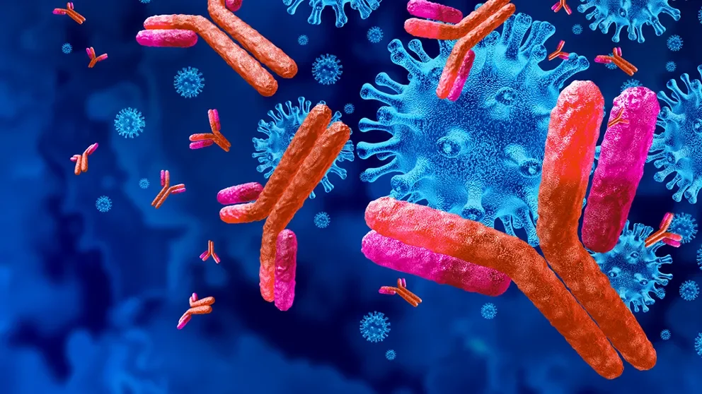 Retraining the special forces of the immune system to fight against cancer