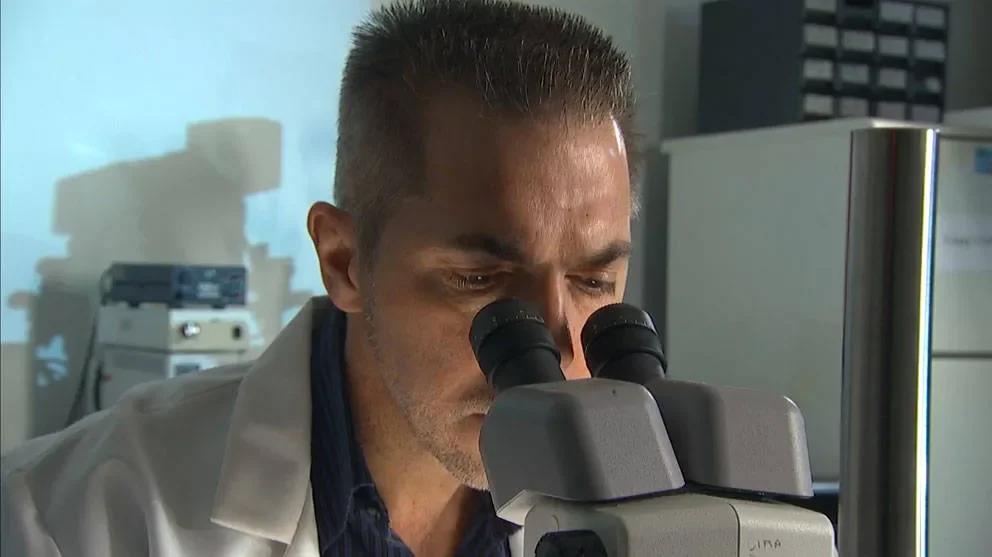 Cultivating a curious mind