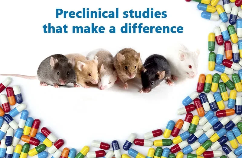How to design robust preclinical efficacy studies that make a difference