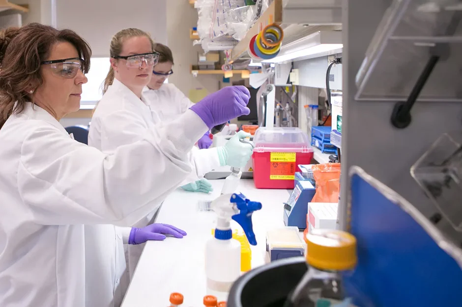 Promising data supports a gene therapy approach for ultra-rare genetic disorder, Multiple Sulfatase