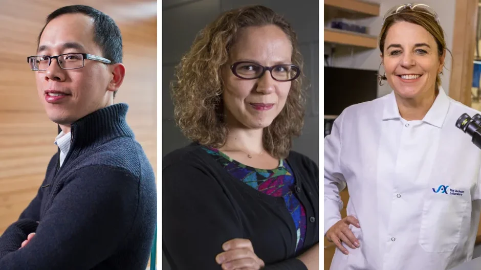 Endowed chairholders Jeffrey Chuang, Ph.D., Duygu Ucar, Ph.D., and Cat Lutz, Ph.D., MBA