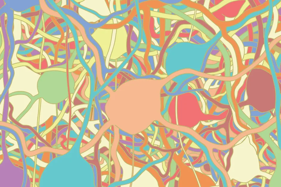 Exploring the hypothalamus one neuron at a time