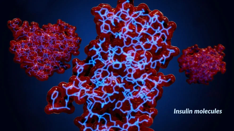 The quantified self, weight fluctuation and insulin resistance