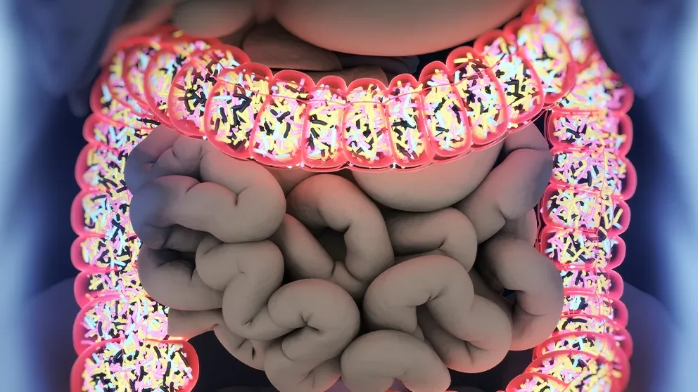 Building Reproducibility through Microbiome Stability in JAX Mice