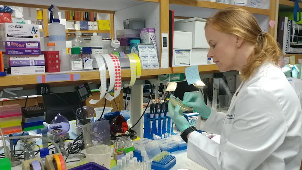 Genomics expert Christine Beck joins JAX, UConn Health