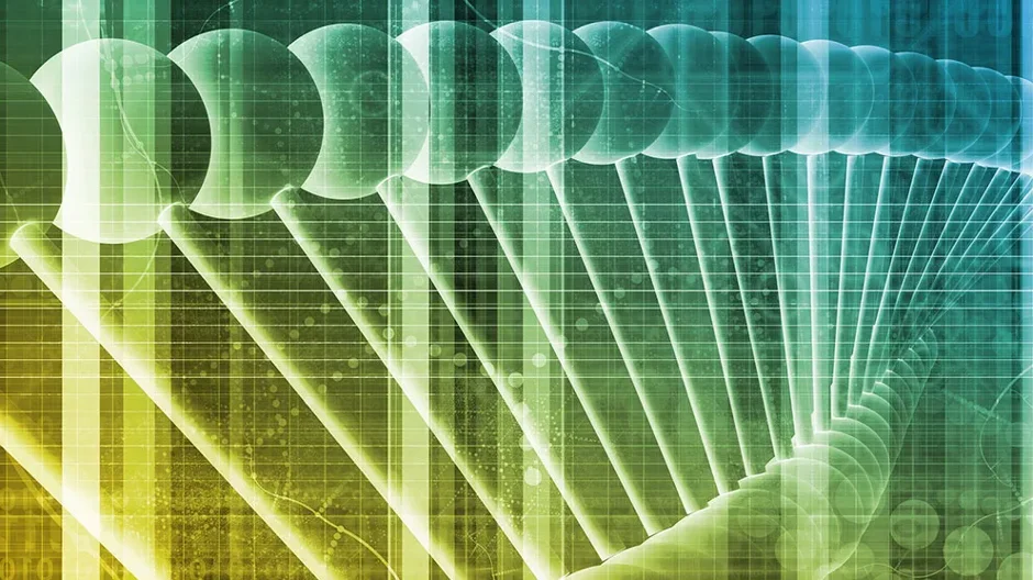 Understanding immune system aging and aging-related diseases