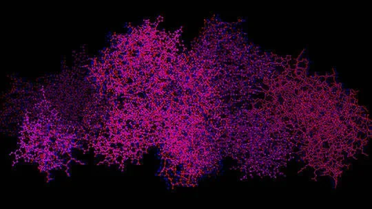 Research offers insights into FcRn-albumin interactions, liver protection