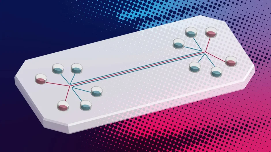 Building realistic biological systems in a dish