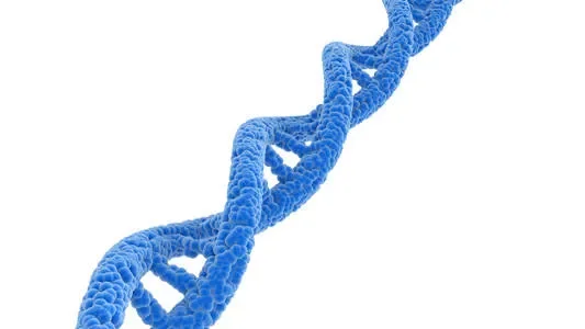 10 essential considerations for creating mouse models with CRISPR/Cas9