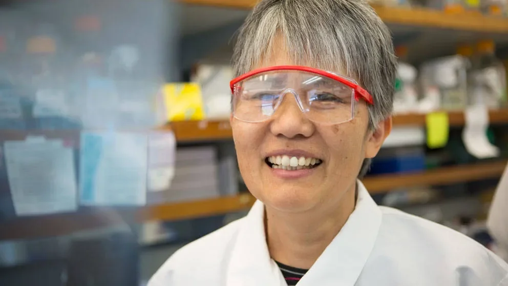 Shedding light on new treatments for vision, eye problems