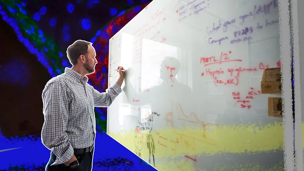 Your genetic makeup and type 2 diabetes