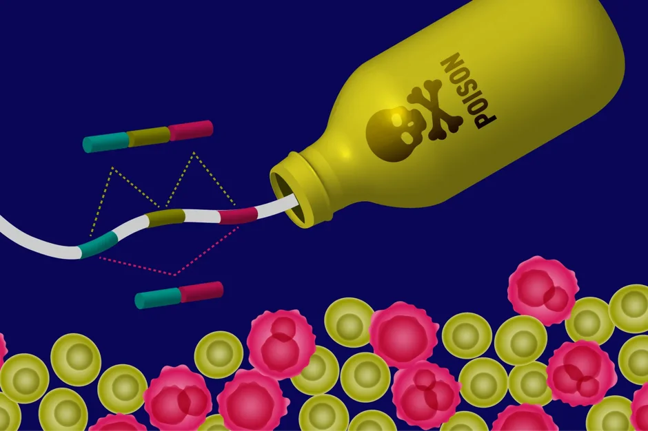 Scientists discover how to reactivate cancer’s molecular “kill switch”