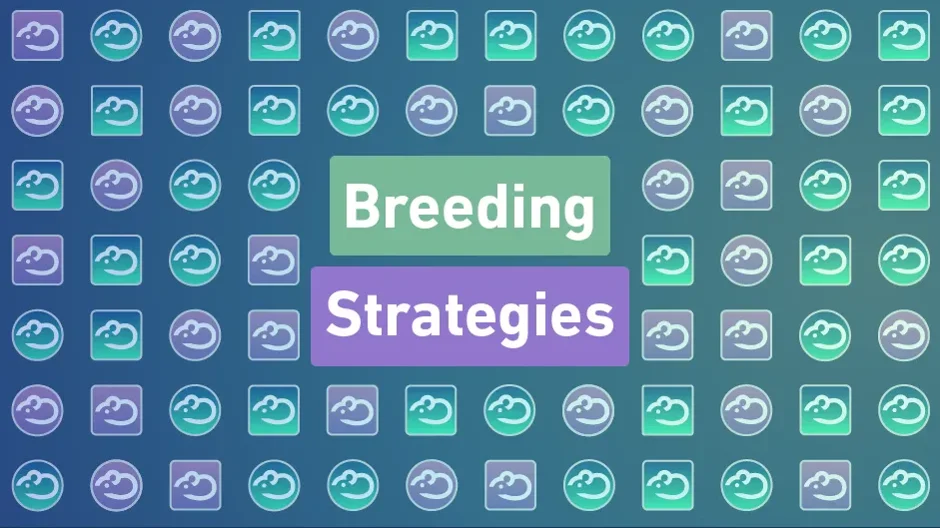 Breeding Better: Strategies for Increasing Reproductive Performance in Laboratory Mice