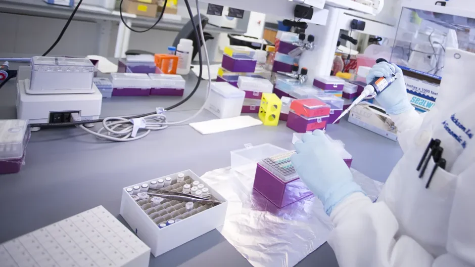 A postdoctoral researcher works at The Jackson Laboratory.