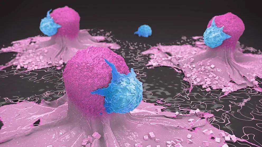 Using JAX NSG™ Mice to Test CAR T Therapy for Breast Cancer