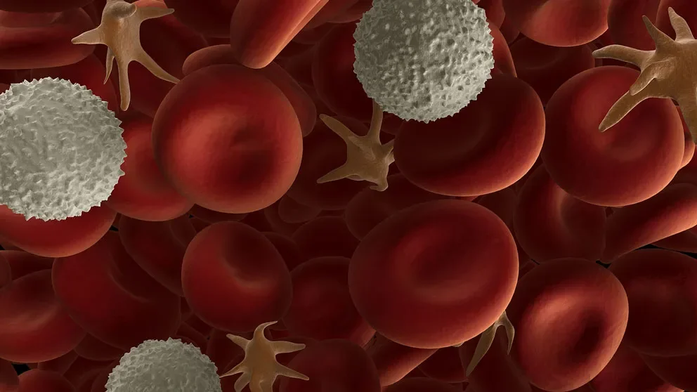 How does CHIP raise risk for blood diseases?