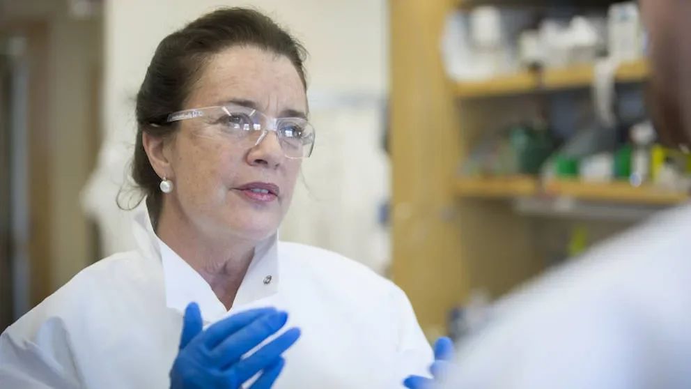 Focusing on mechanics may be key in unlocking the heart’s ability to heal itself