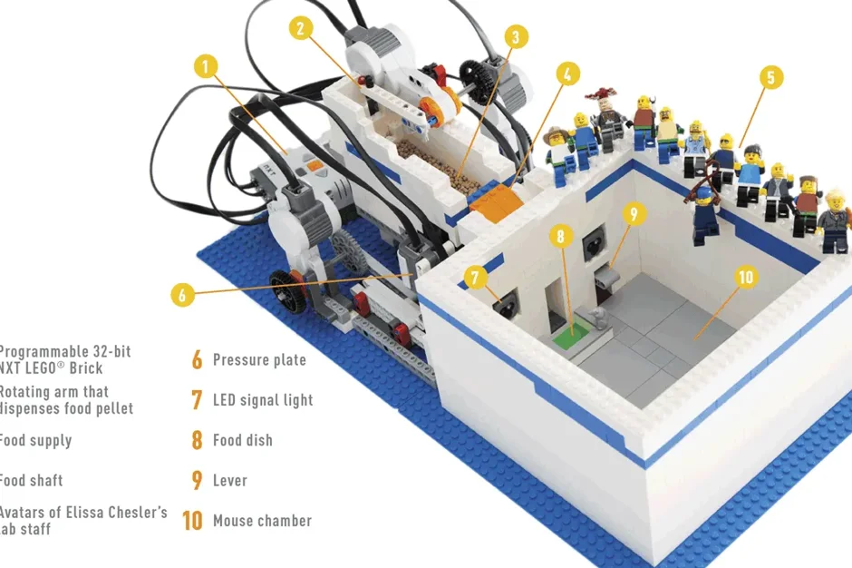 Thinking outside the blocks
