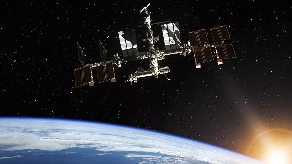 JAX Mice in Space: Microgravity and Bone Remodeling