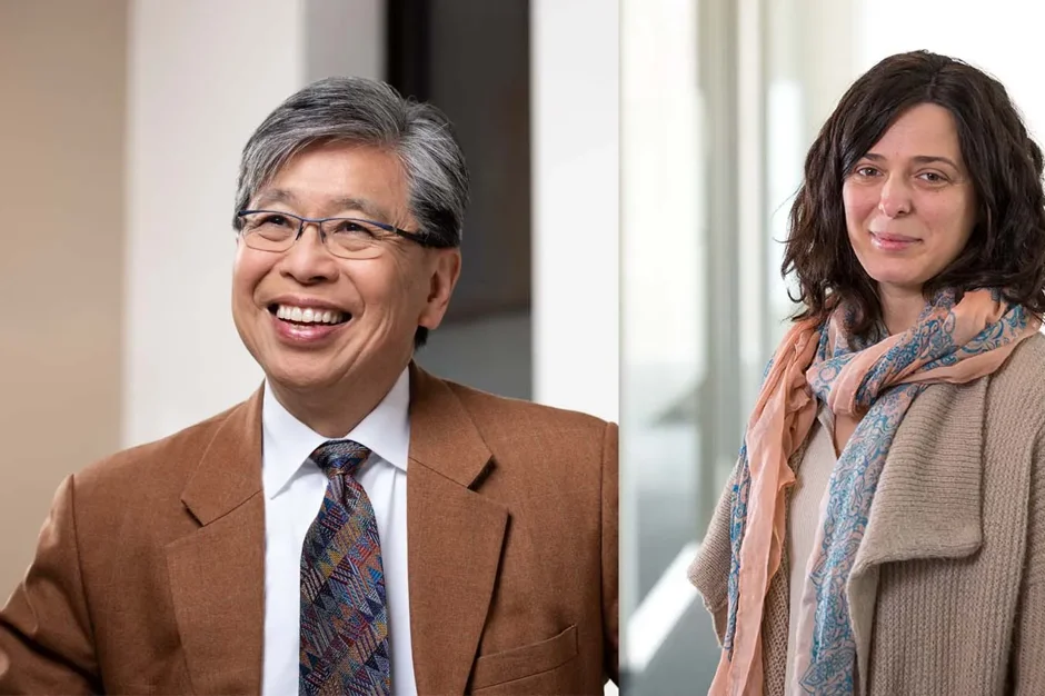 Mechanism for chemotherapy resistance discovered in cancers