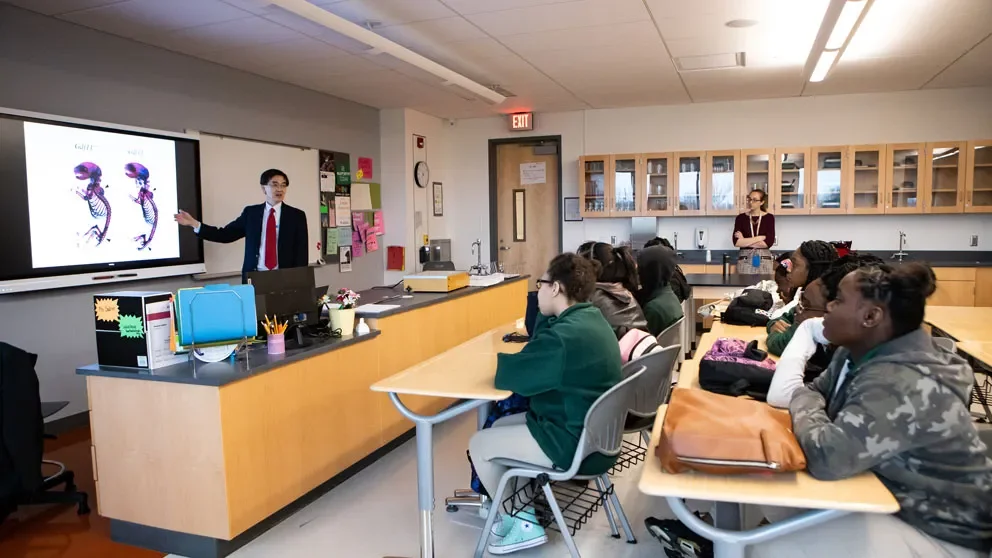 Mighty Mice in the classroom