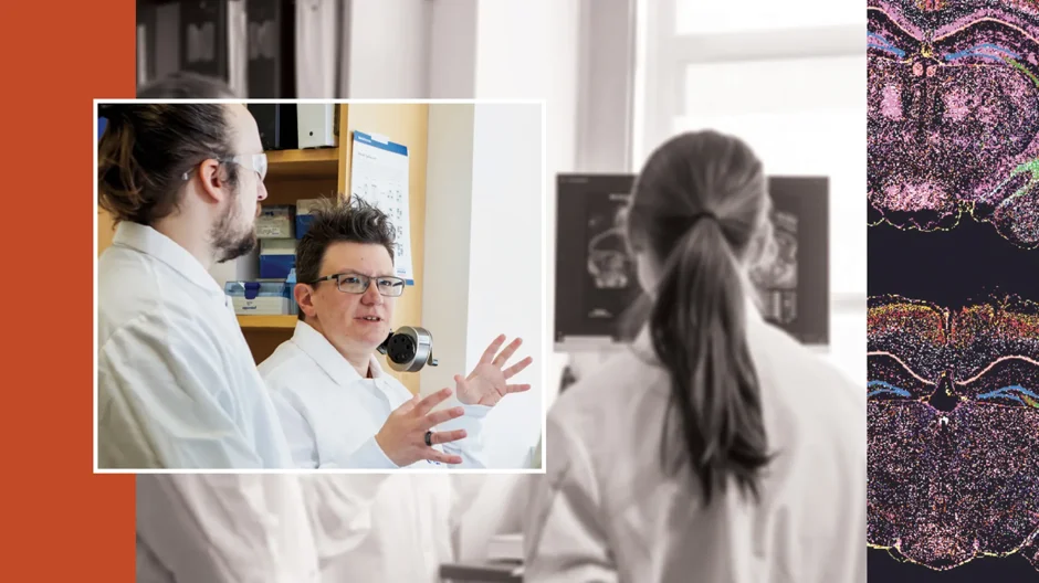 Kristen O’Connell, Ph.D. (second from the left) and her team in their lab in Bar Harbor, ME. Right: Spatial transcriptomic image of mouse brains.