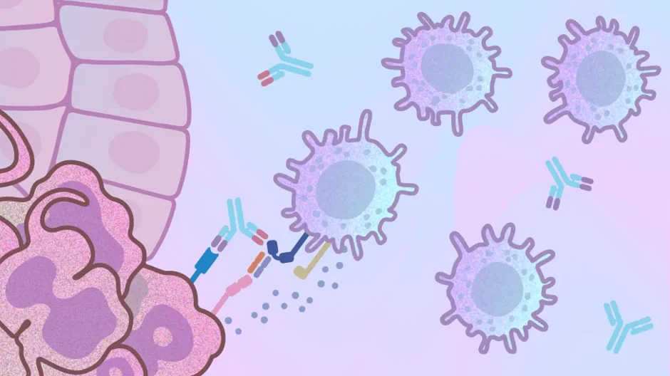 New JAX NSG portfolio strains support development of human NK cells in oncology models