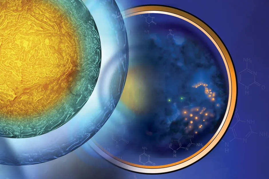 A complete atlas of our cells