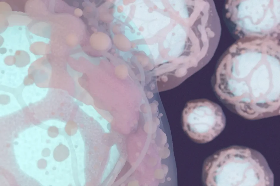 Reprogramming biology: iPSCs and the future of predictive research