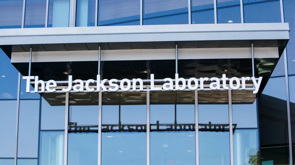 The Jackson Laboratory strengthens executive team with appointment of Steven Holstein to senior vice president, external affairs