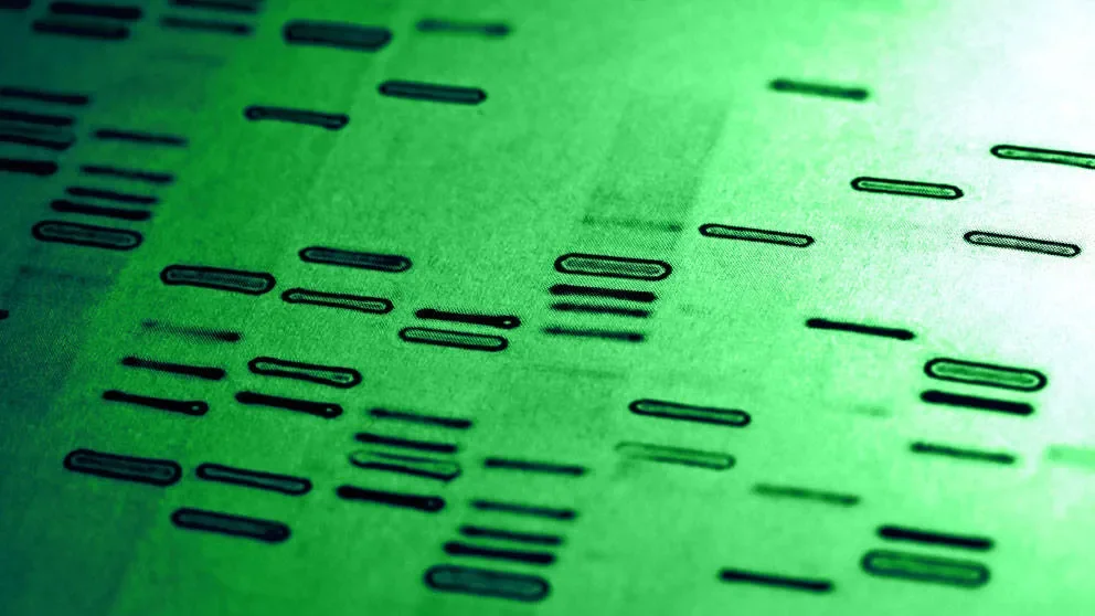 The evolution of high-throughput genome sequencing