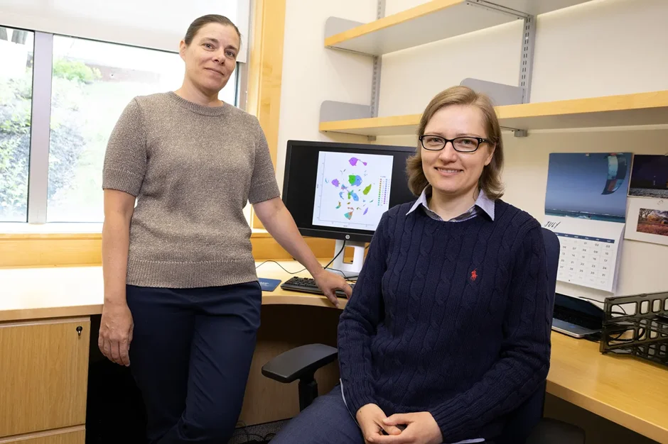 Alzheimers Association Zenith Fellows award to Kaczorowski