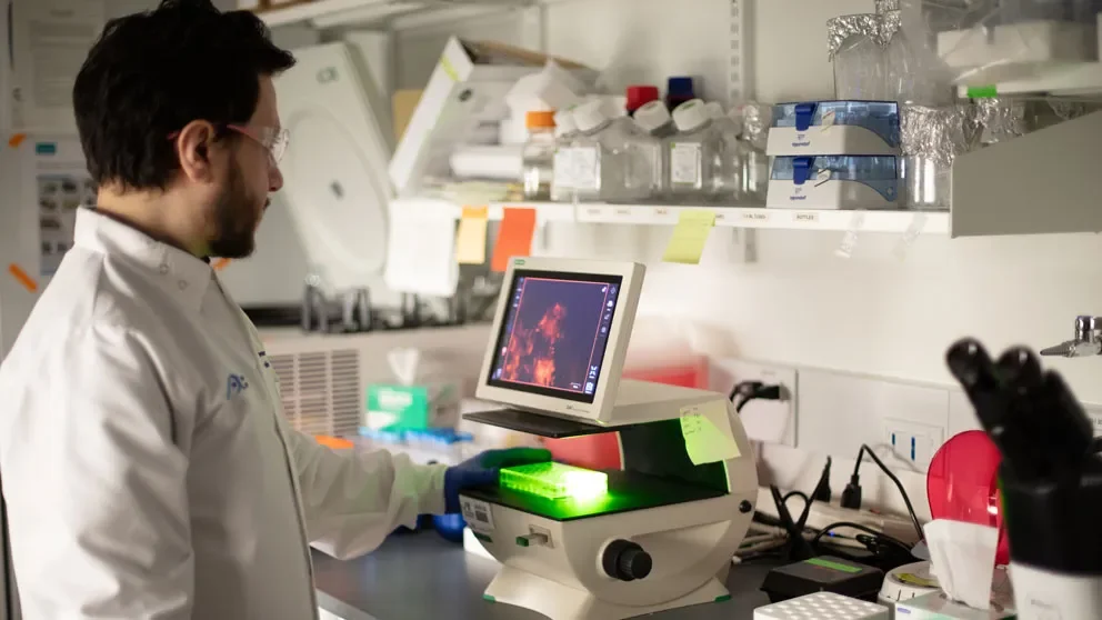 Exploring the role of gene splicing in triple negative breast cancer